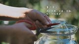 二更视频-20160926-四川泡菜新做法，秒杀韩国风味