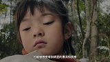 和今年的苹果新春短片《阿年》你看了么?对比之前你更喜欢哪一个呢?iPhone12ProMax