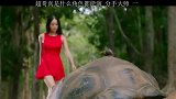 超哥真是什么角色都能演啊