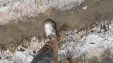 国外下雪天很解压