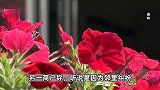 网传江苏南通一男子对女子行凶后跳楼，殡仪馆：收到一具尸体