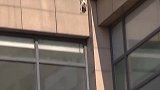 猫咪到底是液体还是固体小哥亲自测试，结果出乎意料