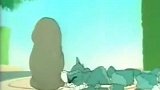 猫和老鼠：一万元谢金，汤姆看海豚就是钱袋呀