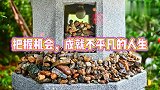 情感语录：把握机会，成就不平凡的人生
