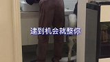 哈士奇恶搞铲屎官