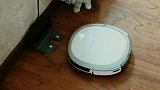 猫：别睡了，快起来一起玩儿啊！