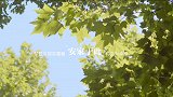 身心归处，感受梦想与现实重叠的幸福
