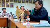 领导开会，猫咪在桌子上自由行走