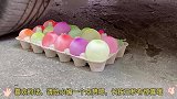 汽车碾压废弃的牙膏实验