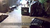 80米高的悬崖，镜头记录海象“集体坠崖”，看后久久无法回神！