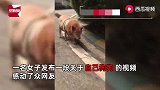 养了15年的狗狗因病离世，主人伤心痛哭：希望汪星没有病痛