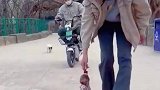 俺小猴子也要有座驾，二弟你来得正好！