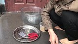 只要老鼠够贪吃，再简单的陷阱都能抓到老鼠