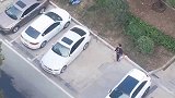 老人躺在草丛中一动不动 楼上女子看到后下一幕很暖心