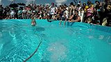 极限GoPro-15年-Gopro第1视角 滑水松鼠Twiggy-新闻