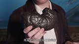 见过收集手办的，没见过收集粪便的！盘点世界上最奇葩的收藏癖！