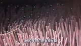 地球上存在过的5种瘟疫，每一种都让人难以忘记