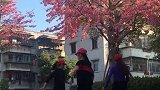 美景必须配上美舞留下美好的回忆！