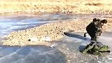 你俩到底是谁比较虎你们心里没数吗