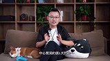 黑洞也会爆炸？看完这个视频，一天炸两个没问题！