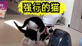 这就是强行的，人家根本不同意呀