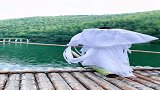 住在大山上的仙子，踩着一根竹子过江，中国功夫瞒不住了