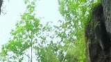 无人机拍山洞篮球场，不料炸鸡……