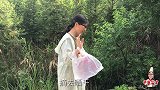 老曹进深山摘一篮野青梅，秘制成青梅干，做法简单比店里卖得好吃