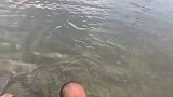 还以为是虾兵上岸了
