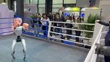 探馆“互联网之光”丨你被机器人“挑衅”过吗？机器人拳击赛亮相乌镇！