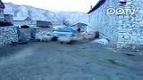 咩星人的攻击