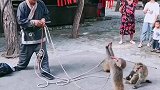 猴子接飞刀。