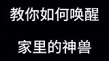 这就是所谓失传已久的神兽召唤术