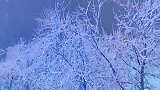 这么大的雪爱我就陪我打雪仗好么