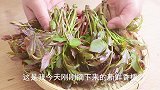 吃了半辈子香椿，这个做法头一次吃，真是高手在民间，长见识了