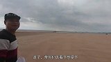 大风浪天过后海货被卷上岸边，大熊黄金沙滩狂捡不停，爆了一大袋