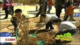 北京新闻-20120408-多植一棵树,多添一份绿