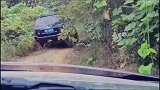 老天是公平的翻山越岭 硬派越野 越野侠 跑山 啥都不挺就挺你 爱玩越野的大叔 汽车