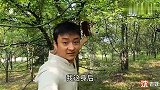 树林发现一个大皮包，打开后里面是钱不敢拿，乖乖给挂回去