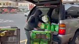 美国：超市扒手大摇大摆把赃物装车，旁人只录像不报警