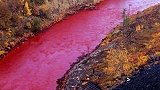 西伯利亚的一条小河，一夜之间变成了血红色