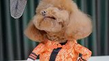 小家伙说的太真实了吧