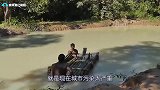 小伙荒野建净水器，专家看到后都表示匪夷所思，这样的操作也行