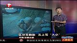 区分双胞胎出奇招 头上写“大小”