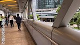实拍香港街头最真实现状，公司白领们都是打包午餐回公司呢，不错