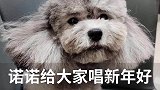 这首歌是爸爸教的没错