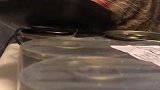 猫：主人我很饿了，快给我开一个罐头吧！