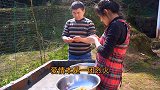 4斤扇贝1斤辣椒,超小厨做“辣炒扇贝”汤汁拌饭上树吃,真带劲