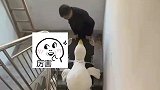 为顺利把产后的媳妇抬上6楼