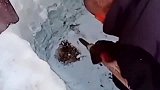 你确定没挖到化粪池，里面流出来的水非常脏，在里面会捞出鱼来吗